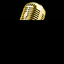 Coin Icon