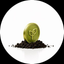 Coin Icon