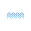 Coin Icon