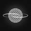 Coin Icon