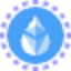 Coin Icon