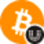 Coin Icon