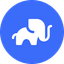 Coin Icon