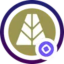 Coin Icon