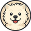 Coin Icon