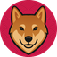 Coin Icon