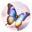 Coin Icon