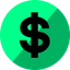 Coin Icon