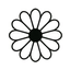 Coin Icon