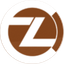 Coin Icon