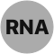 RNA