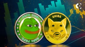 Experts Reveal Meme Coin for 20x Profits. Pepe coin or Pikamoon?