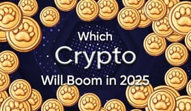 Zycrypt...